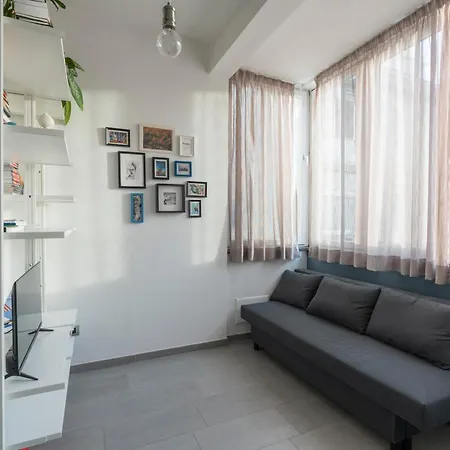Apartment Loft In Center *